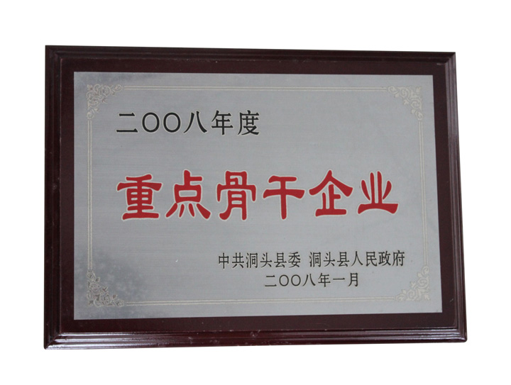 2008年度重点骨干企业