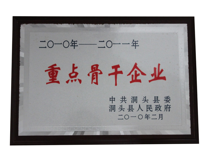 2010年-2011年重点骨干企业